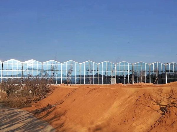 玻璃温室