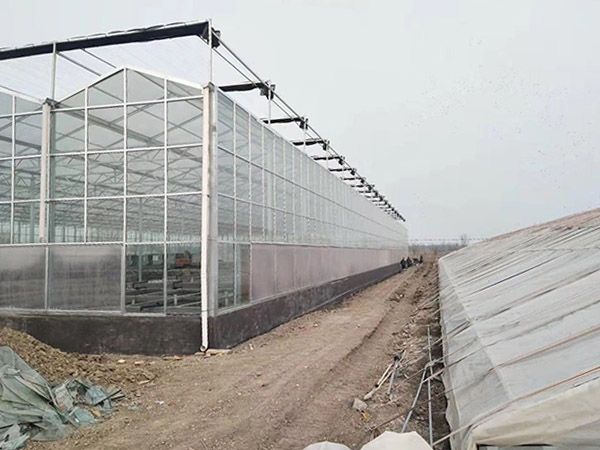 玻璃温室