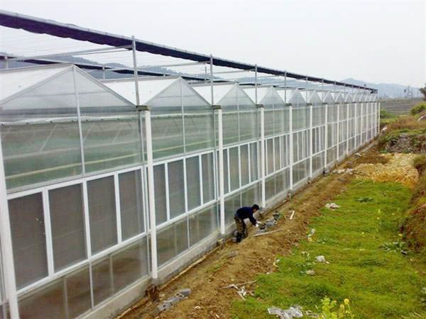 阳光板（pc）温室 
