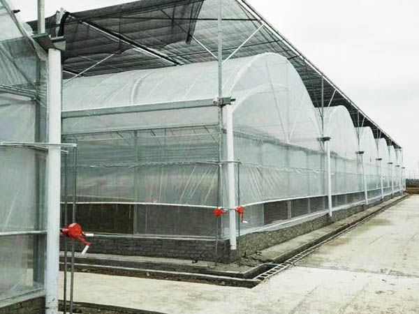 双拱双膜温室
