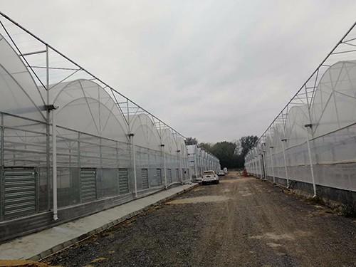 双拱双膜温室