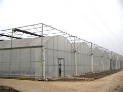 薄膜连栋温室