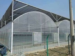 薄膜连栋温室