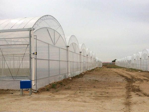 双拱双膜温室