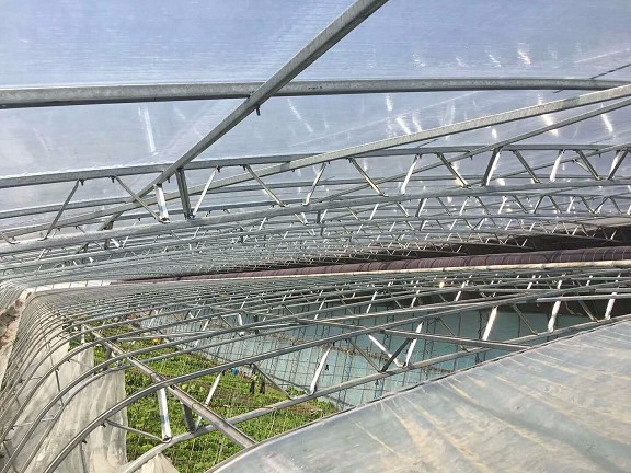 阳光板（pc）温室